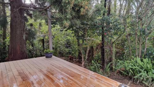 New Plymouth House | Wonderland