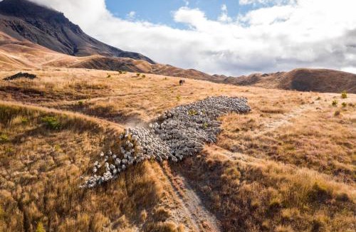 Waihopai Valley Cabin | Middlehurst Lodge