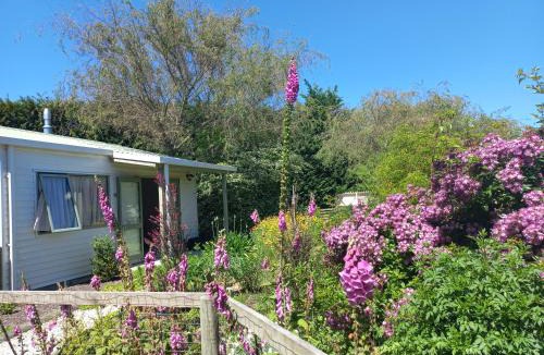 Motueka Apartment | Apple Tree Cottage