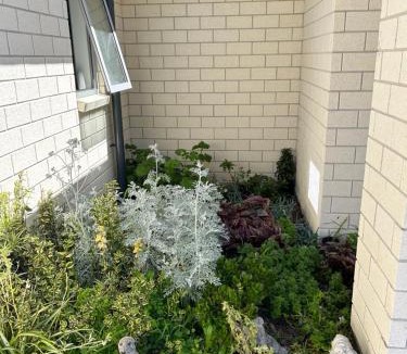 New Plymouth Bed & Breakfast | Almost Heaven BNB