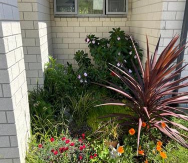 New Plymouth Bed & Breakfast | Almost Heaven BNB