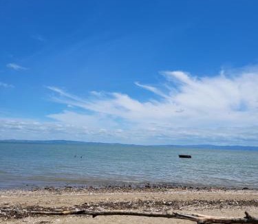 Thames Resort | Dickson Holiday Park