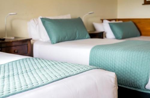 Te Aro Hostel | The Cambridge Hotel & Backpackers