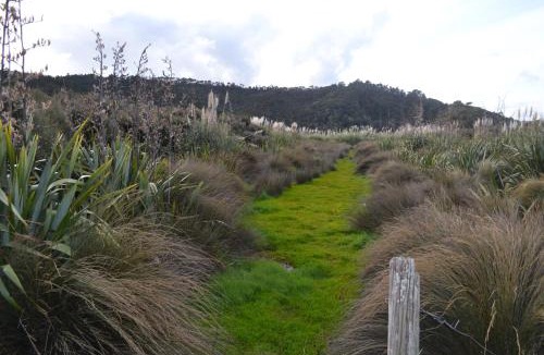 Kaukapakapa Bed & Breakfast | Manuka Views - Close to Thermal Hot Pools