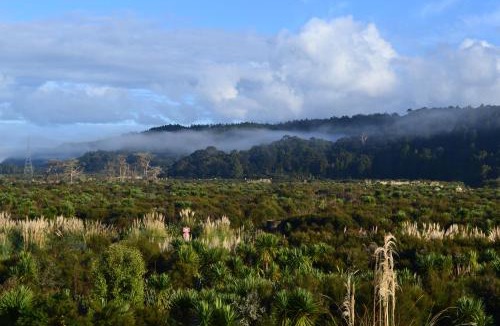 Kaukapakapa Bed & Breakfast | Manuka Views - Close to Thermal Hot Pools