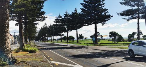Napier Hostel | Bluewater Lodge