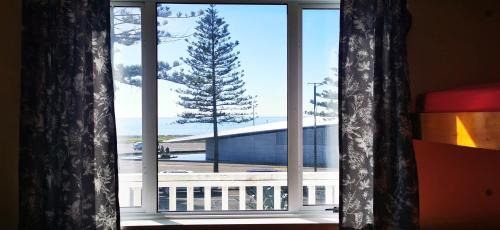 Napier Hostel | Bluewater Lodge