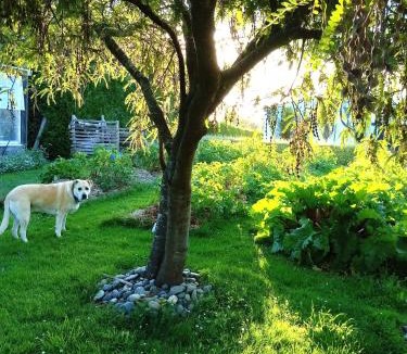 Tuatapere Hostel | Last Light Lodge