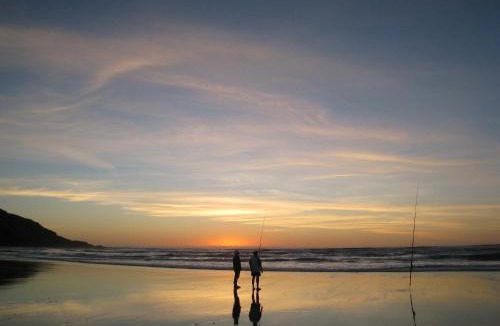 Port Waikato Resort | Port Waikato Holiday Park