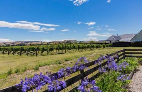Waipara House | Cosy Cottage in the Vines