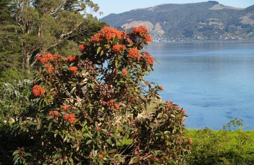 Portobello Bed & Breakfast | Captain Eady's Lookout