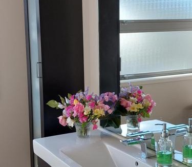 Carterton Apartment | The Grey Studio@13a