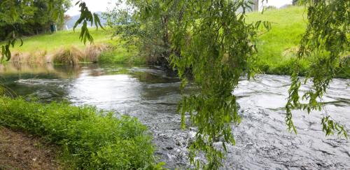 Spring Creek Resort | Blenheim Spring Creek TOP 10