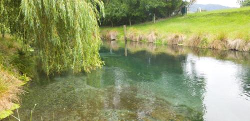 Spring Creek Resort | Blenheim Spring Creek TOP 10