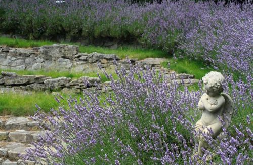 Taumarunui Bed & Breakfast | Bradleys Garden Bed and Breakfast