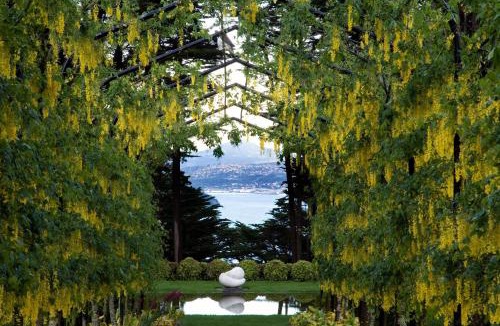 Dunedin Cabin | Larnach Lodge & Stable Stay