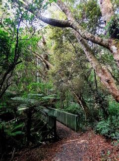Kaka Point Hotel | Kaka Point Spa Accommodation - Catlins