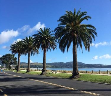 Whitianga Hotel | Whitianga Motel