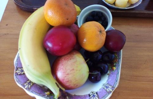 Owaka House | Catlins Retreat B & B