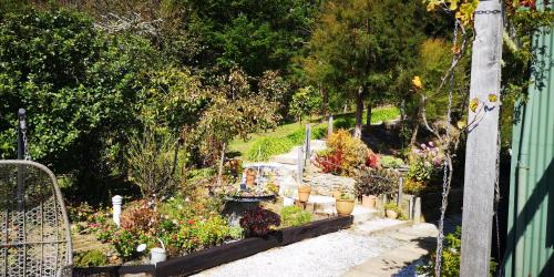 Havelock Bed & Breakfast | Moana Haven B&B