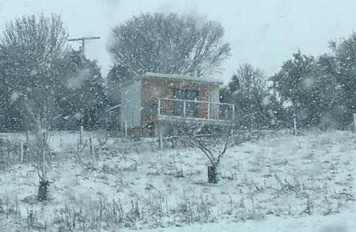 Ahuriri Flat Bed & Breakfast | Lawfield