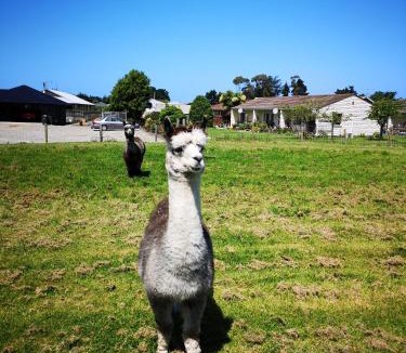 Oamaru Hotel | Colonial Lodge Motel