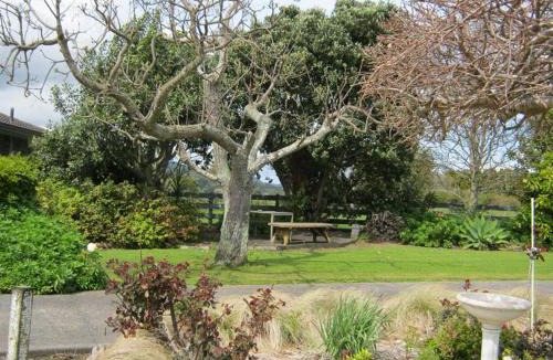 Coromandel Bed & Breakfast | Breakaway Bed & Breakfast