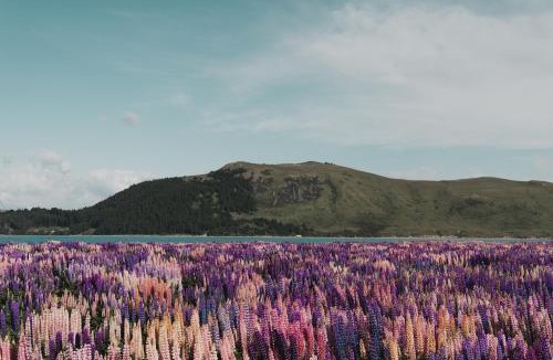 Tekapo House | Alpine Lodges