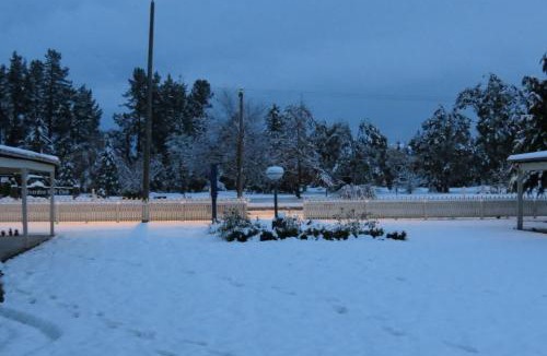 Culverden Hotel | Culverden Court Motel
