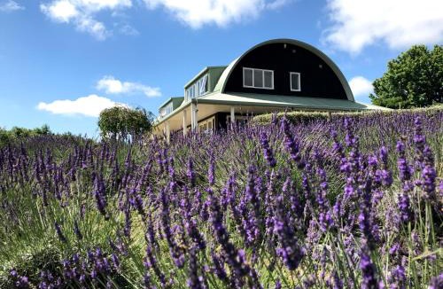 Riverhead Bed & Breakfast | Lavender Hill