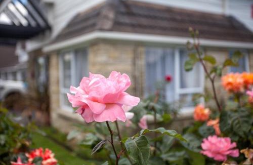 Fenton Street Hotel | Rose Court Motel