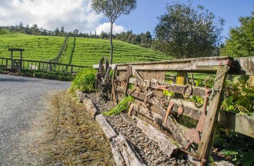 Waitomo Caves Hostel | JunoHall Backpackers