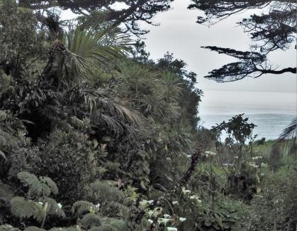 Cape Foulwind Cabin | Omau Retreat