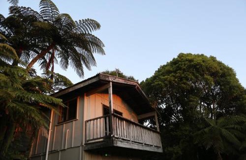 Punakaiki Cabin | Te Nikau Retreat