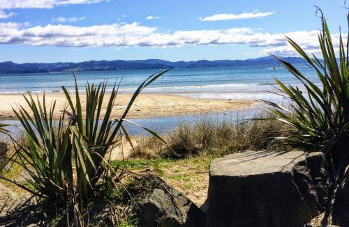Whitianga Cabin | WoodyHanger Lodge