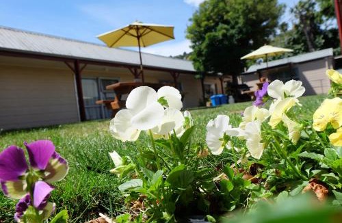 Tahunanui Hotel | Castles Motel & Driftwood Motel