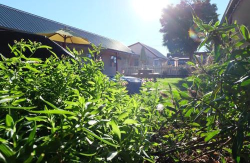 Tahunanui Hotel | Castles Motel & Driftwood Motel
