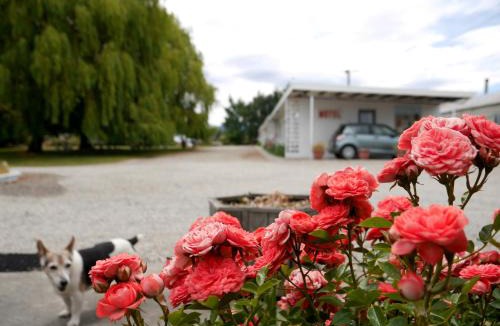 Ranfurly Hotel | Ranfurly Motels
