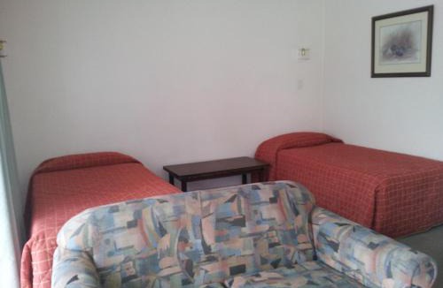 Napier Hotel | Ace High Motor Inn