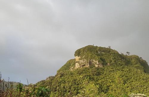 Punakaiki Hotel | Punakaiki Rocks Hotel & Garden Bar