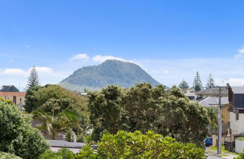 Mount Maunganui Hotel | Boatshed Motel Apartments