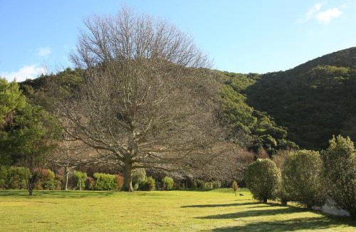 Waikawa Bay Resort | Picton TOP 10 Holiday Park