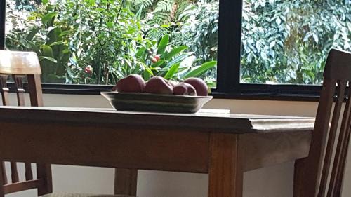 New Plymouth Bed & Breakfast | Sequoia Steps