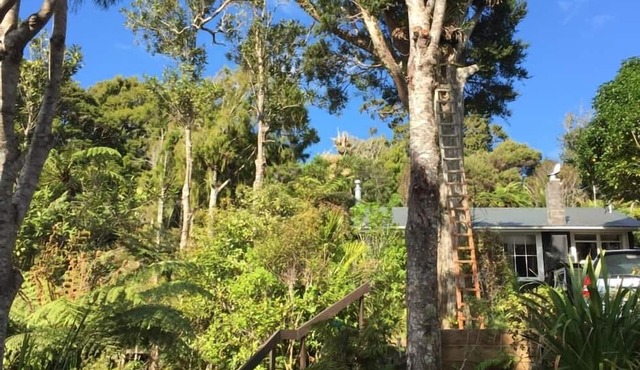 Stunningly Private Piha Retreat in Piha