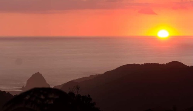 Stunningly Private Piha Retreat in Piha