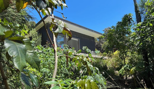 Little Forest of Kai - Eco Cabin in Taiharuru