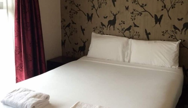 Stag Park Accommodation