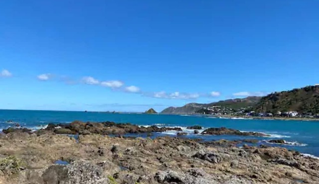The Lighthouse in Wellington
