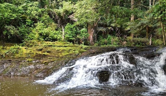 Hot Tub overlooking a waterfall, near beaches, vineyards, Matakana, Brick Bay in Warkworth