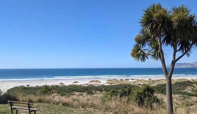 Seaside Retreat in Blueskin Bay (near Dunedin) - Modern House Nestled in Nature in Warrington